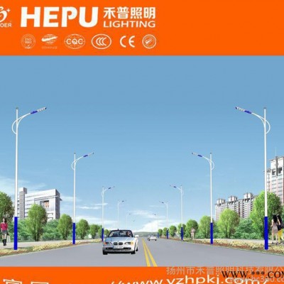 直销 单臂道路灯系列品质保证 量大从优6/7/8/9/12米