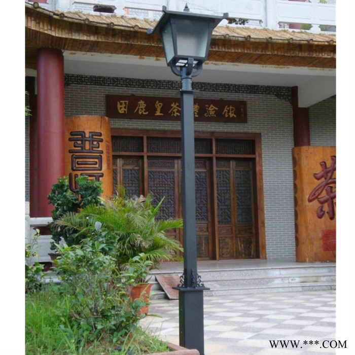 璀璨CC-162013.5米景观灯柱图5