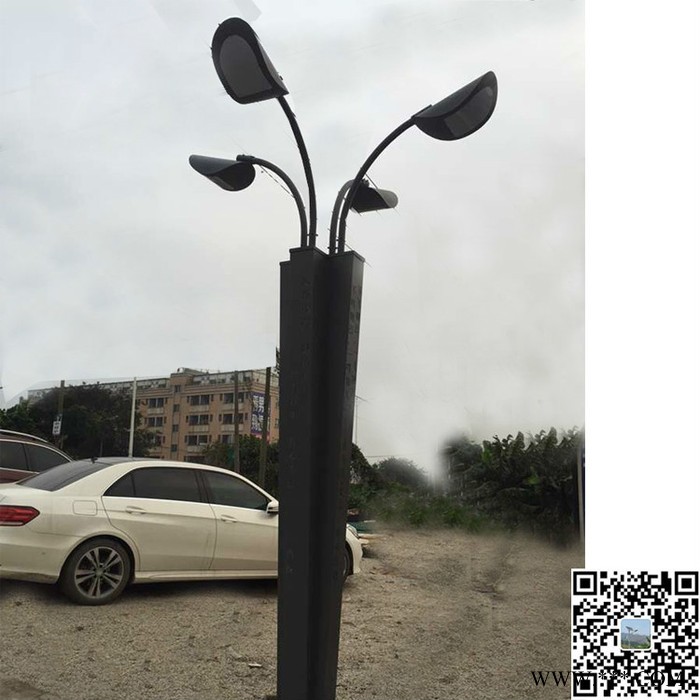 璀璨CC-162013.5米景观灯柱图7