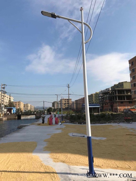 道路灯 路灯 LED路灯 定制路灯 可按图纸定制图3