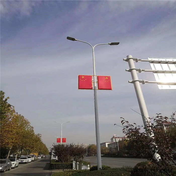太阳能景观灯厂家  3米景观灯 来图定制  太阳能景观灯  英光图5