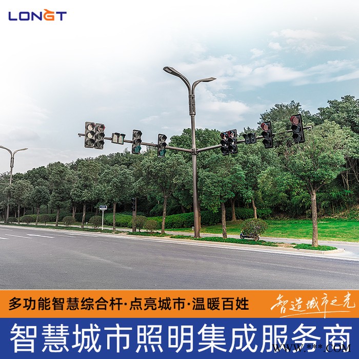 LED景观灯 道路照明 宿州智慧路灯厂家图3