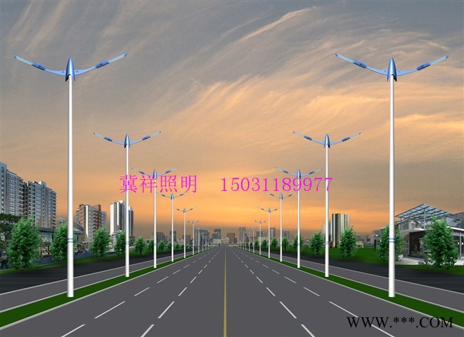 太阳能路灯 景观灯 中华灯 庭院灯 道路灯 高速路灯 路灯厂家图2