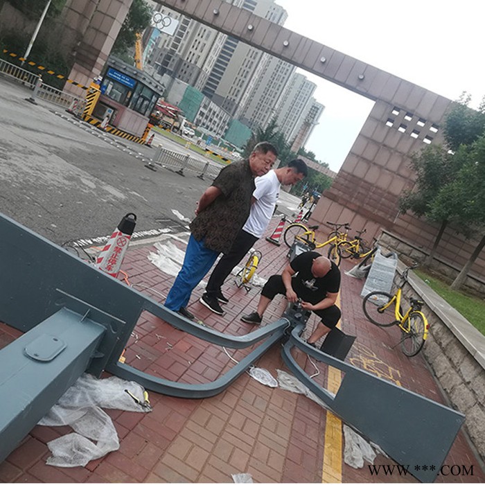 东港景观灯生产厂家 高密景观灯安装方法图5