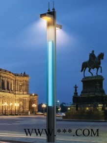 生产加工户外园林景观灯 道路景观灯 LED景观灯 景观庭院灯 专业路灯厂家供货 多款型可选图2