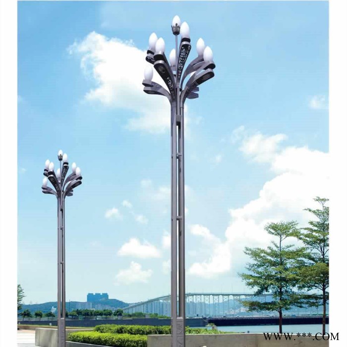 生产加工户外园林景观灯 道路景观灯 LED景观灯 景观庭院灯 专业路灯厂家供货 多款型可选图6