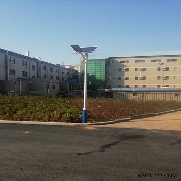 漯河景观灯多种规格 四川景观灯生产批发图4
