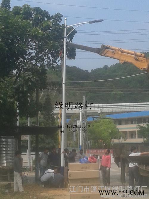 广东led道路灯厂家 户外道路灯led报价 批发路灯杆图3