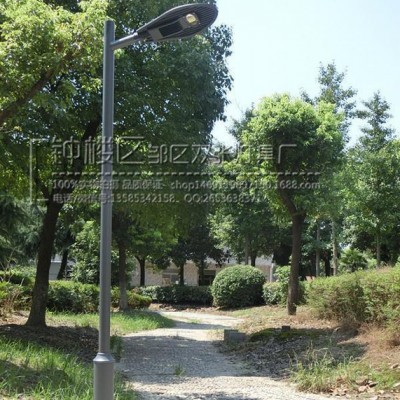 LED路灯户外灯道路灯太阳能路灯挑臂小区路灯头新农村改造