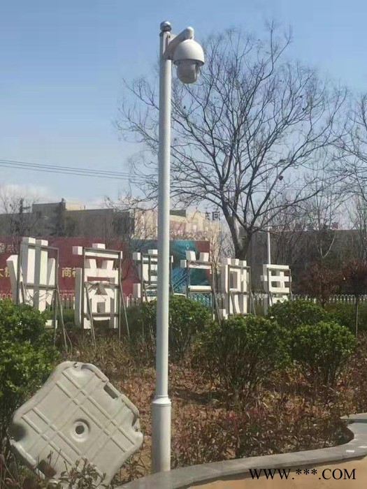 玖恒H6 道路灯生产厂家图2