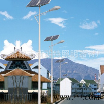 新农村建设6米道路灯图5
