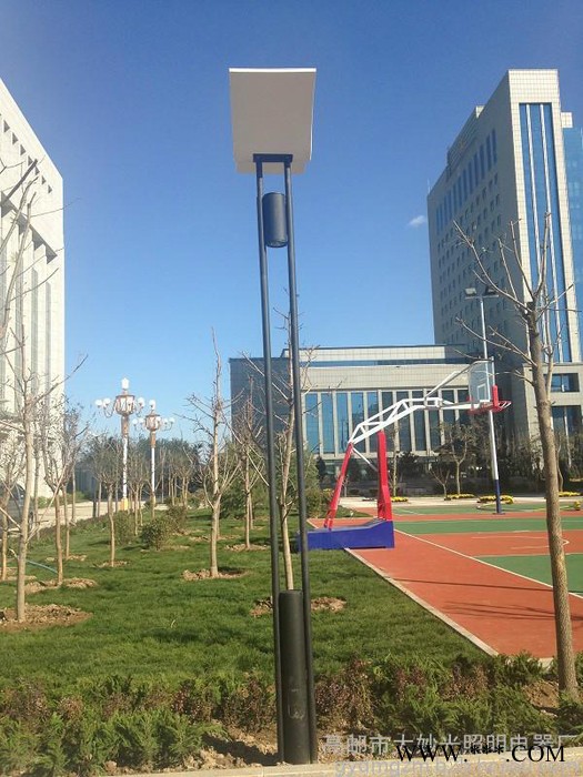 大妙光M59直销各式景观灯庭院灯太阳能景观灯图2