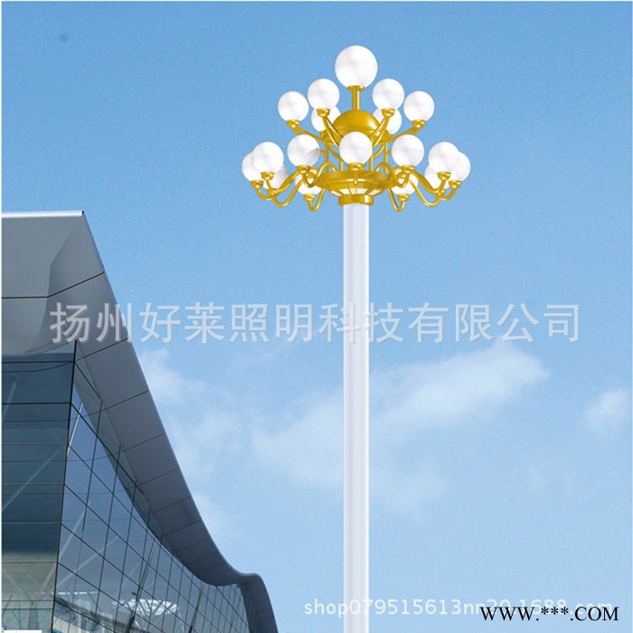 扬州好莱照明 ** 中华灯 玉兰灯 城市街道公园景区路灯 定制道路灯 道路照明灯图2
