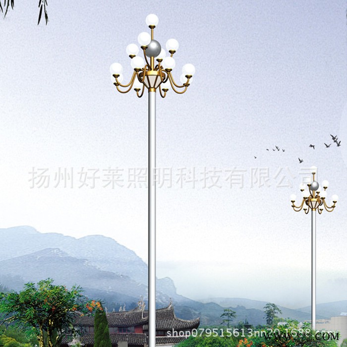 扬州好莱照明 ** 中华灯 玉兰灯 城市街道公园景区路灯 定制道路灯 道路照明灯图3