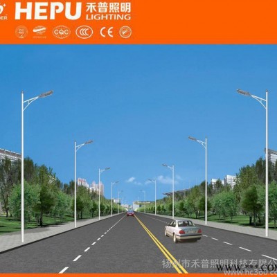 2015款 直销 单臂道路灯 led路灯 60W 茂硕电源