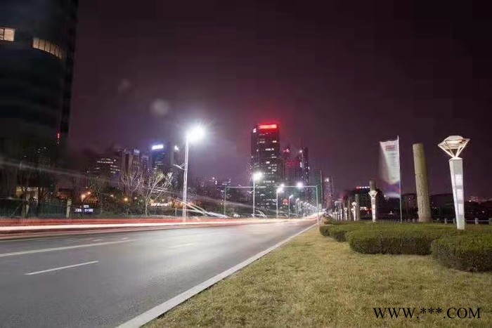 浙江 9米路灯、道路灯灯**路灯高亮环保五年质保图1