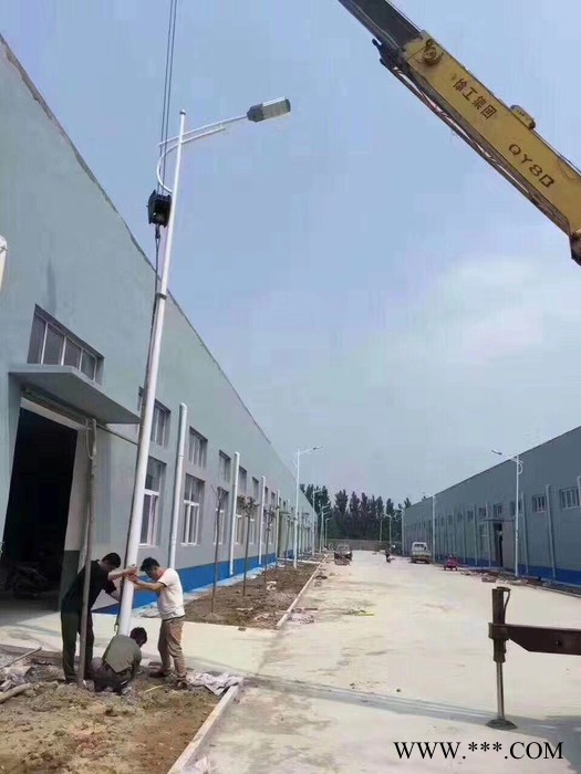 浙江 9米路灯、道路灯灯**路灯高亮环保五年质保图5