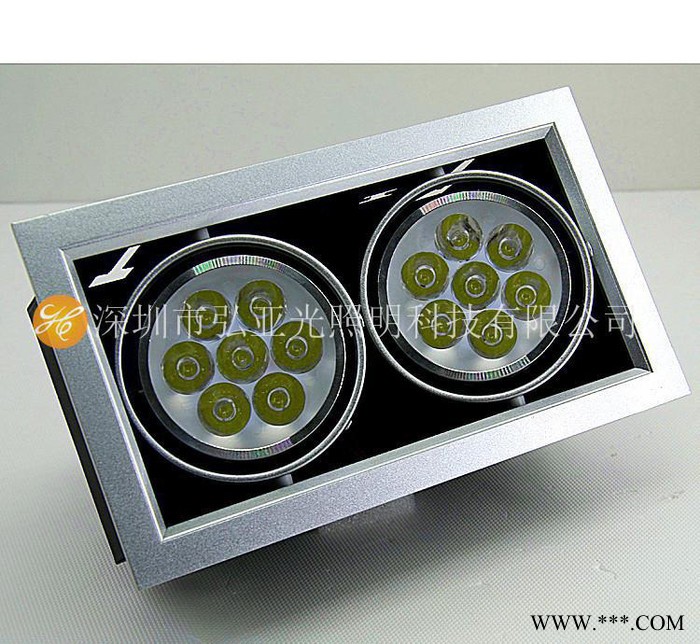 LED斗胆灯双头14W格栅灯射灯 服装家具照明2*7W豆胆图2