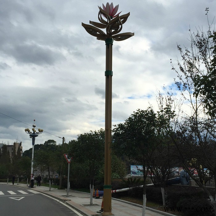 LED景观灯 莲花景观灯 户外广场景观灯 中山景观灯图2