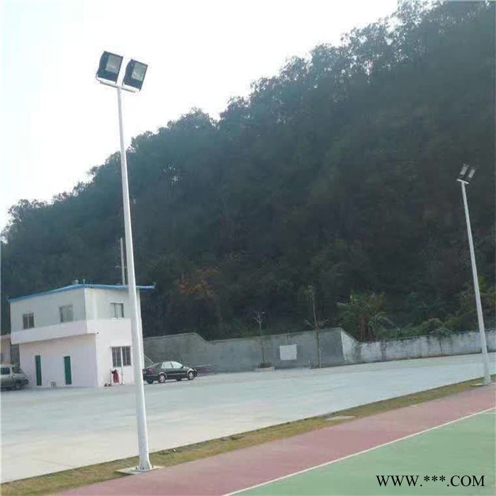 SY 河池凤山道路灯杆**/太阳能照明路灯杆批发图3