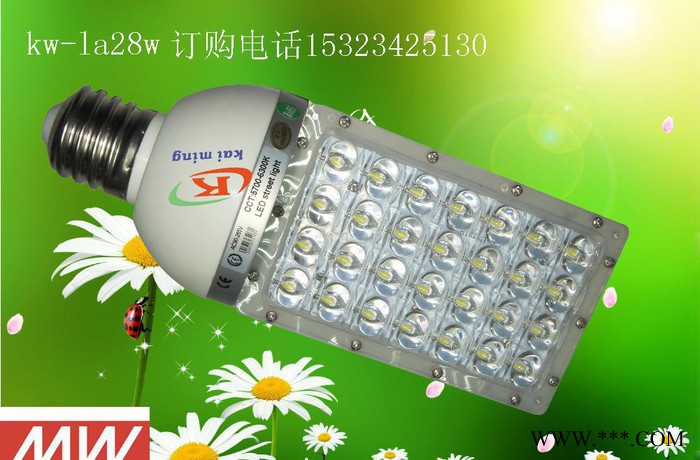 LED光源28W  30W路灯|深圳道路灯具|E40接头28W  30W灯具图1
