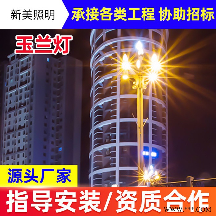 新美照明 厂家新款中华灯带杆玉兰灯LED景观灯庭院灯户外小区照明工程图2