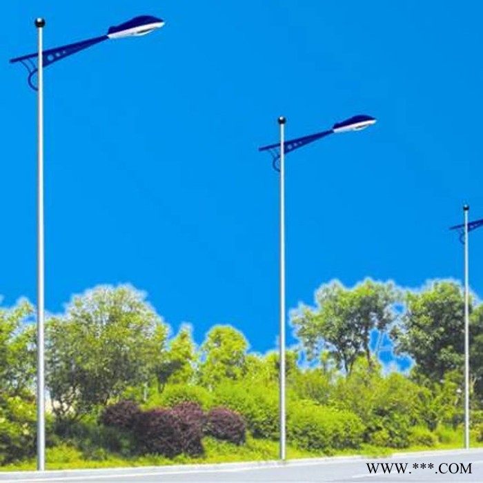 博辉** 新农村太阳能路灯 自弯臂路灯 LED道路灯 户外广场灯批发图6