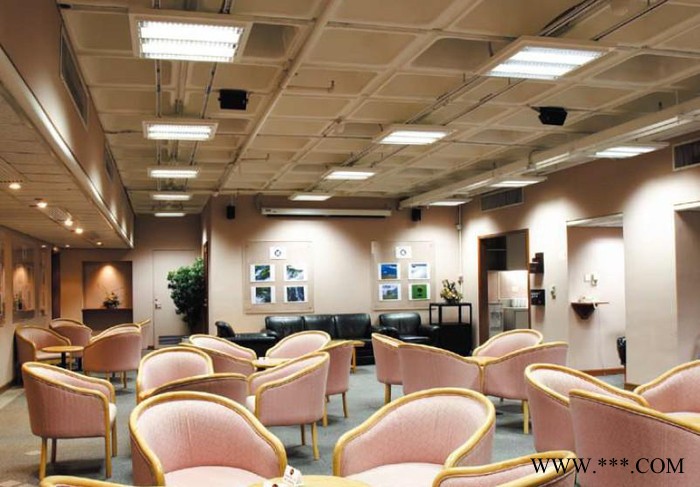 飞利浦TLD格栅灯TBS369工业场所办公室超市酒店时装店餐图2