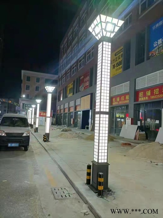 艾力晶 景观灯 景观灯厂家 欢迎咨询图8