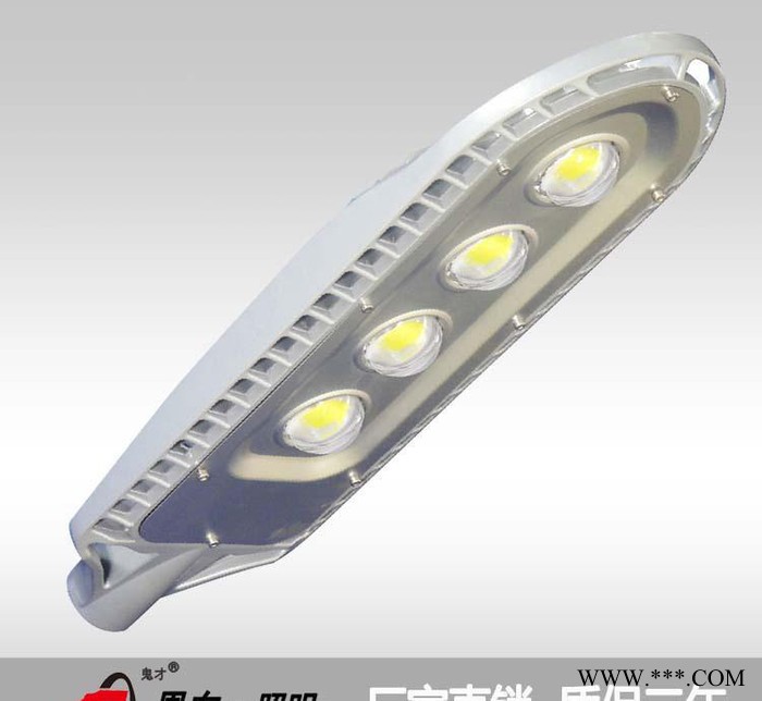 恩东照明 LED路灯 户外灯道路灯 鱼骨灯30W 40W 6图2