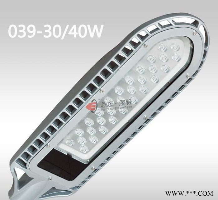恩东照明 LED路灯 户外灯道路灯 鱼骨灯30W 40W 6图1