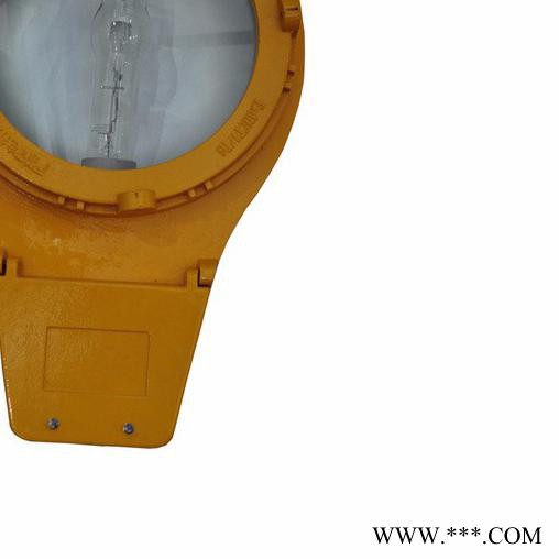 信远GBL5211_防爆道路灯_电厂灯_加油站灯_投光灯_原型号BLC8610图3