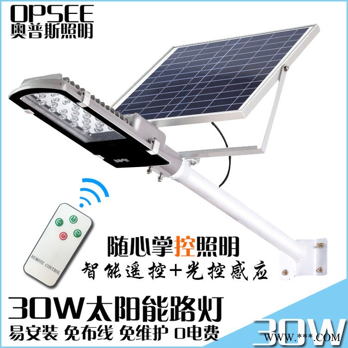 30W金豆太阳能路灯户外防水新农村道路灯智能遥控光感应庭院灯图3