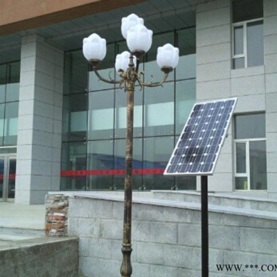 海力西 户外庭院灯 LED庭院灯 路灯 小区路灯 节能庭院灯  景观灯  太阳能路灯厂家