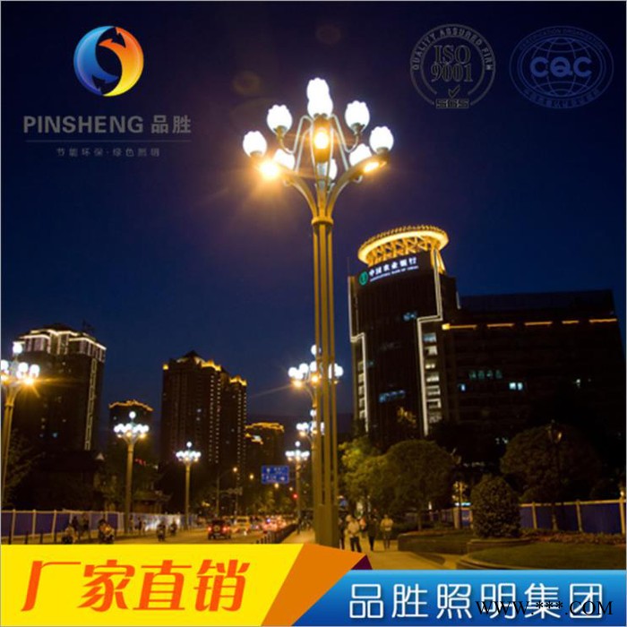 品胜PSZHD02 6米8米10米12米户外中华灯 高杆道路照明景观灯图2