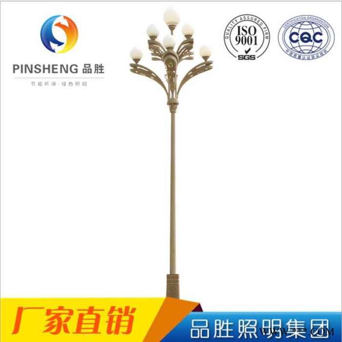 品胜PSZHD02 6米8米10米12米户外中华灯 高杆道路照明景观灯图5