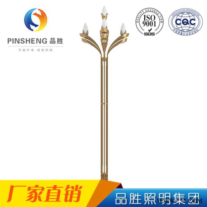 品胜PSZHD02 6米8米10米12米户外中华灯 高杆道路照明景观灯图3