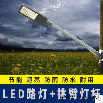 普仕亮-24w30w40w50w6080w100w150w瓦 小金豆LED路灯头挑壁路灯道路灯路灯杆**图3