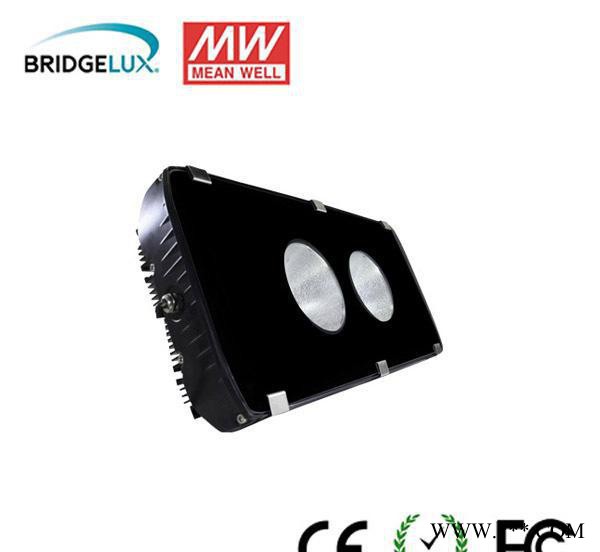 专业100WLED隧道灯 道路灯 LED灯图3