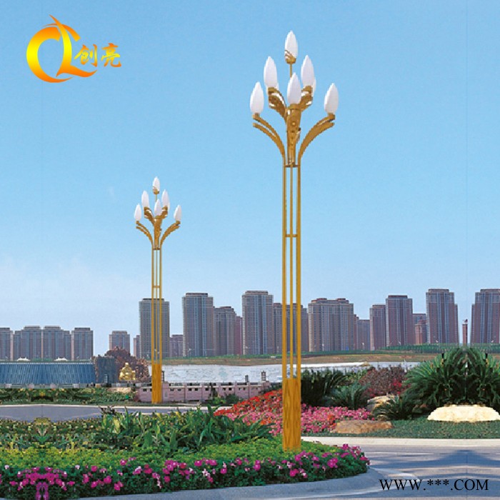 玉兰灯八叉九火玉兰灯玉兰景观灯景观路灯中华灯图2