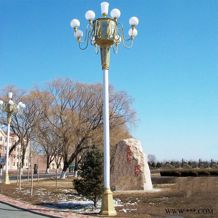 【尚源电气】LED中华灯 市政工程道路灯8米12米15米大型中华灯路灯生产厂家图3