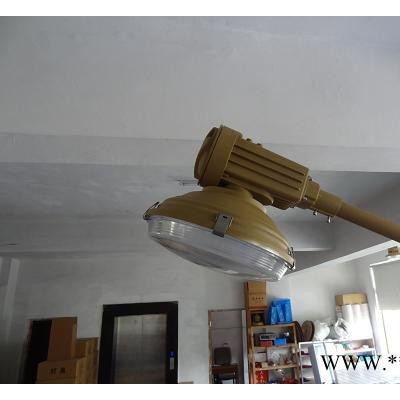 防爆灯具  SBR6120系列免维护节能防水防尘防腐道路灯