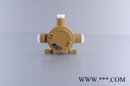 防爆灯具  SBR6120系列免维护节能防水防尘防腐道路灯图2