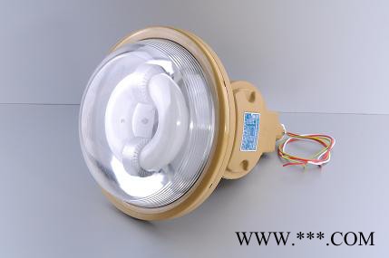 防爆灯具  SBR6120系列免维护节能防水防尘防腐道路灯图3