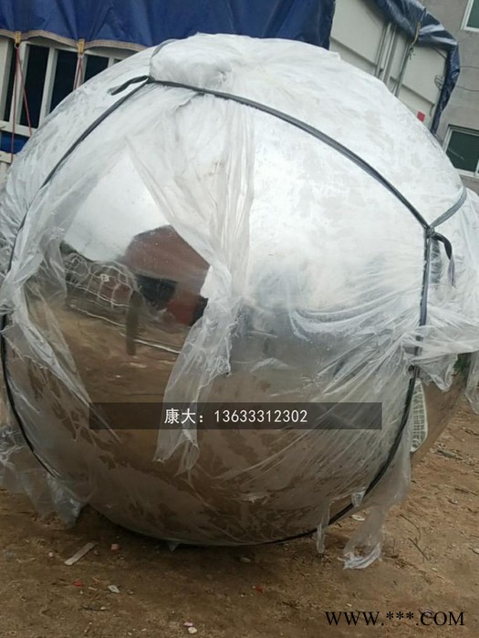 山东康大雕塑 不锈钢镜面雕塑 公园绿化带旅游区景观灯图4