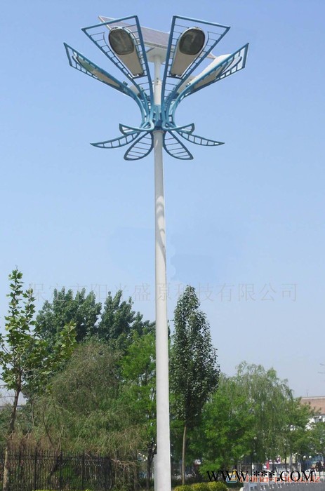 道路灯，高杆灯，草坪灯,信号杆图6