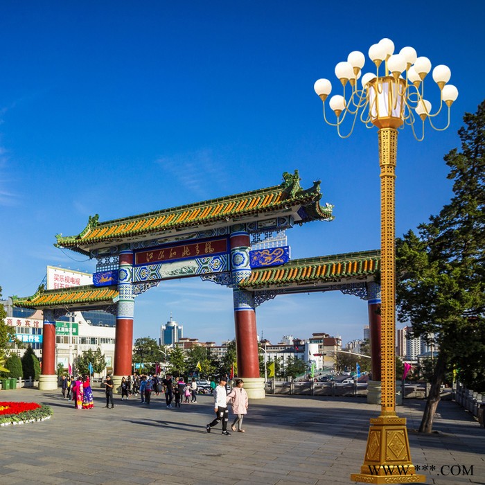 定制LED中华灯厂家 8米15米户外广场园林道路照明建设景观灯图4