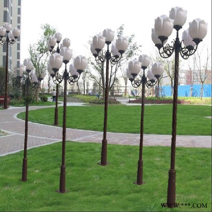 AE照明AE-DYD-01定制led 中华灯玉兰灯 3头4头5头户外广场景观灯 广场景 观灯图3