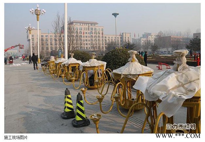 海力西  直销 中华灯 道路灯 标志景观灯 广场公园灯 户外照明  庭院灯图3
