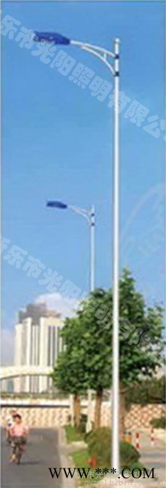 石家庄新乐市道路灯哪家专业
